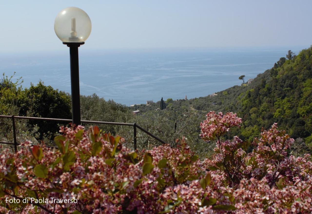 Azalea Villa Recco Exterior photo