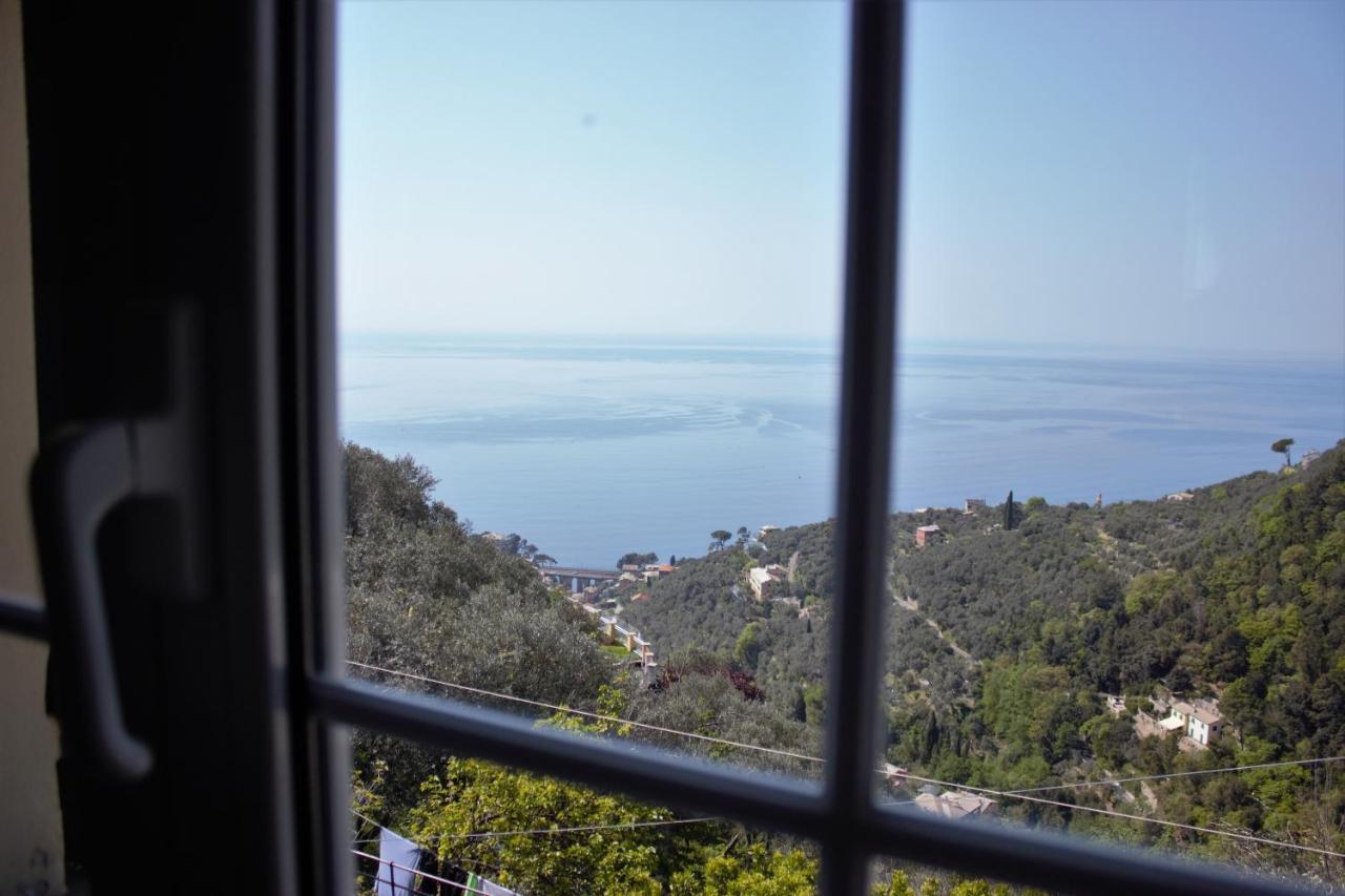 Azalea Villa Recco Exterior photo
